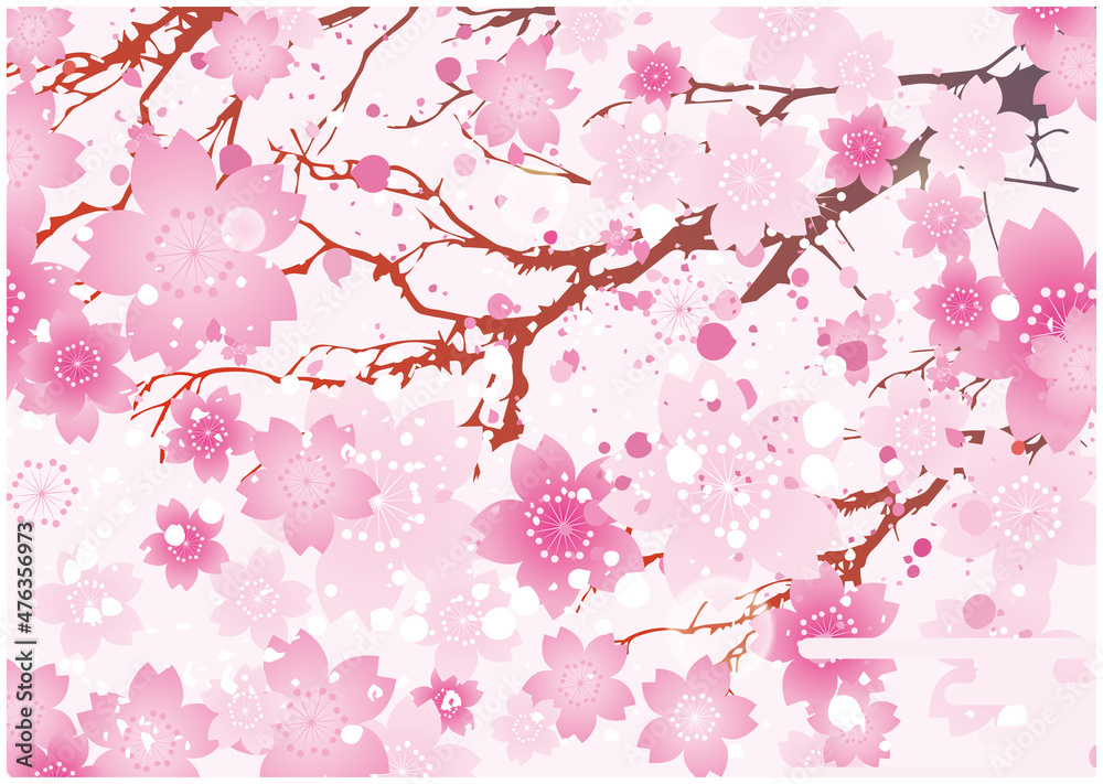 春　桜　背景
