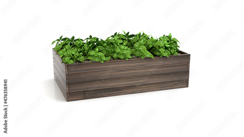 Bed Green Gardening Bed Green Gardening