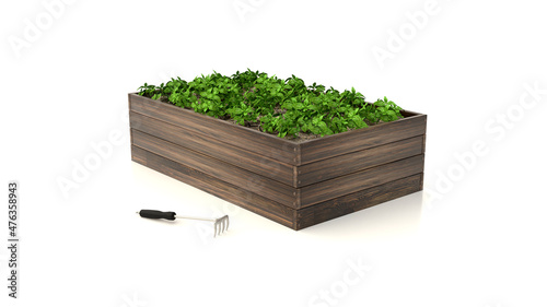 Bed Green Gardening