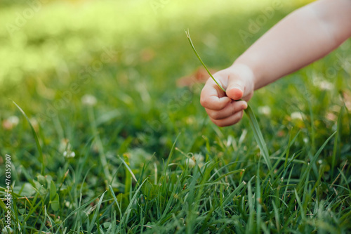 child sitting in the park and playing with the grass. green life concept 