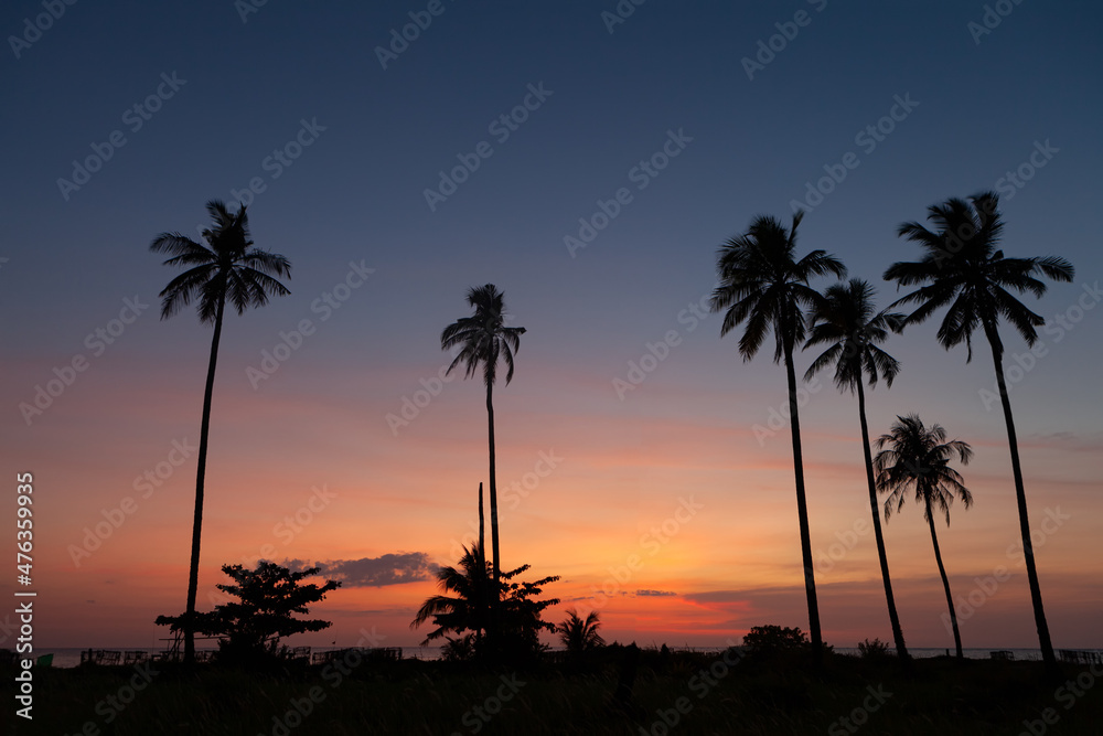 Obraz premium .Silhouette coconut palm tree with the colorful sky