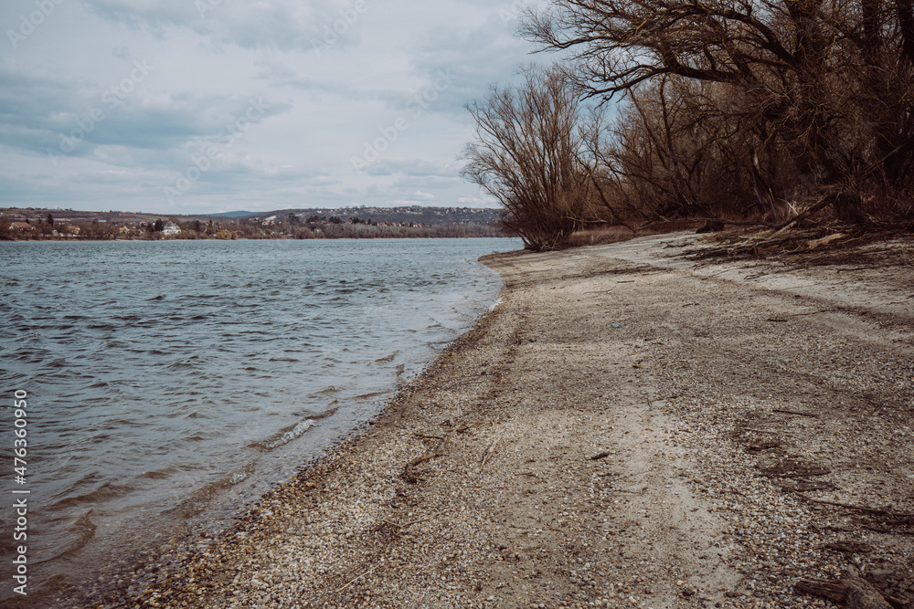 Danube river shore with bold trees in a cloudy day.