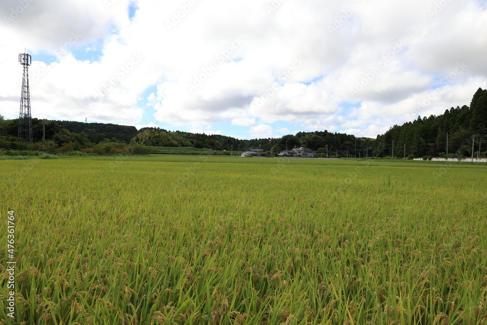 田舎の景色