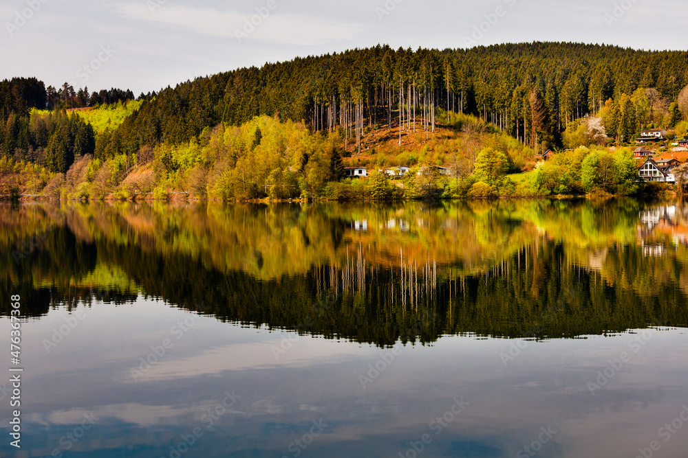 Fototapeta premium reflections in the lake