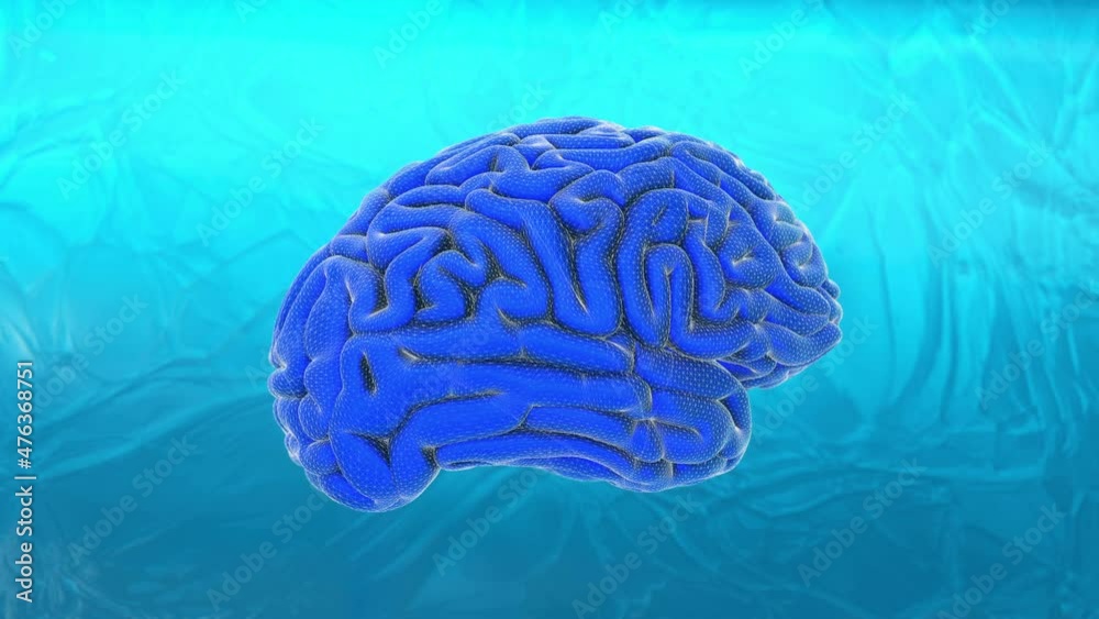 Human brain made of puzzle pieces of animation connected with a wireframe. Rotating 3D abstract art video motion with blurred ice background. Human brain made of puzzle pieces of animation connected with a wireframe. Rotating 3D abstract art video motion with blurred ice background.