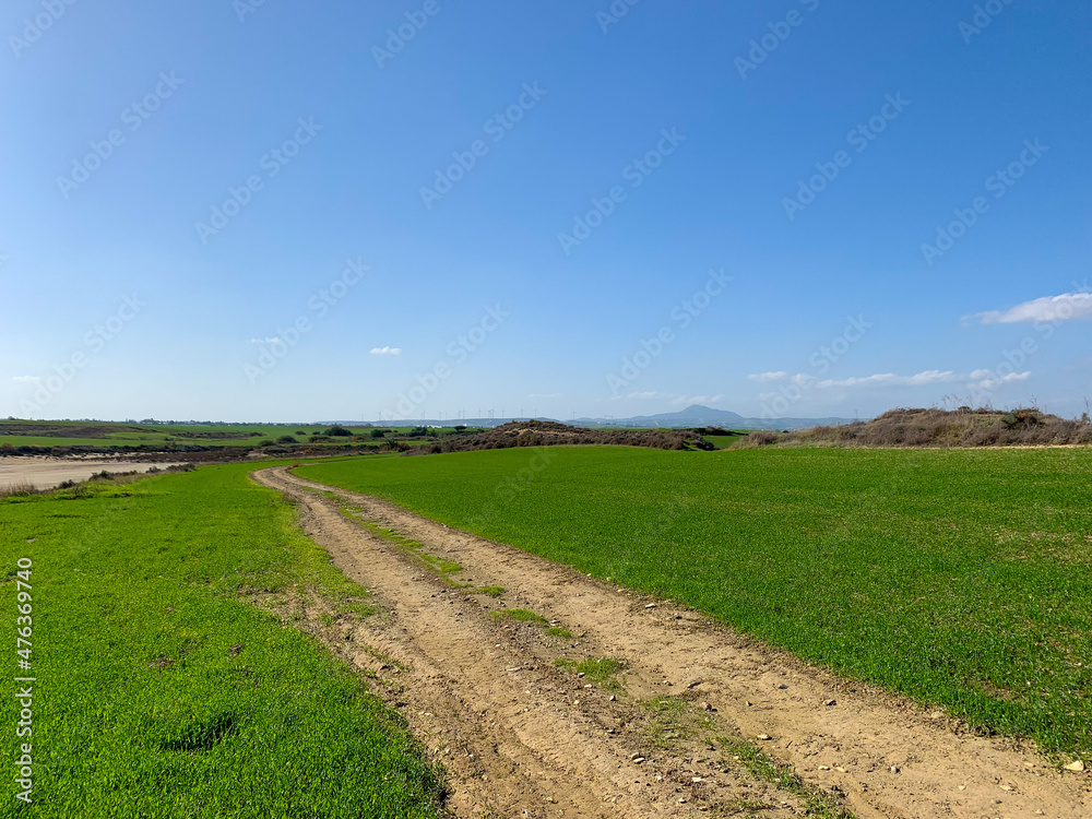 pathway in the green field, blue sky background pathway in the green field, blue sky background
