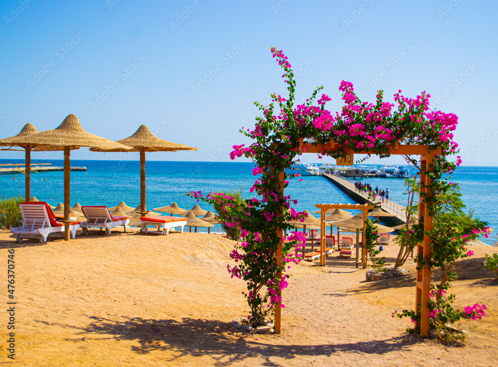 beautiful beach of Egypt overlooking the red sea. travel. recreation.