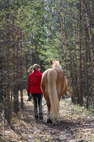 Woman walking with horse in forest © citikka