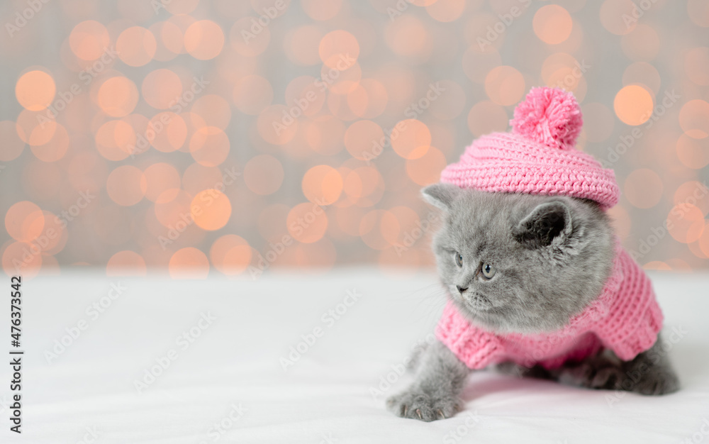 Fototapeta premium Cute kitten wearing knitted hat and sweater sits with festive background and looks away on empty space