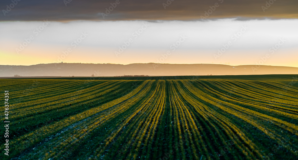 Sunset over young green cereal field in autumn Sunset over young green cereal field in autumn