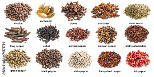 set of piles with various asian spices with names photo