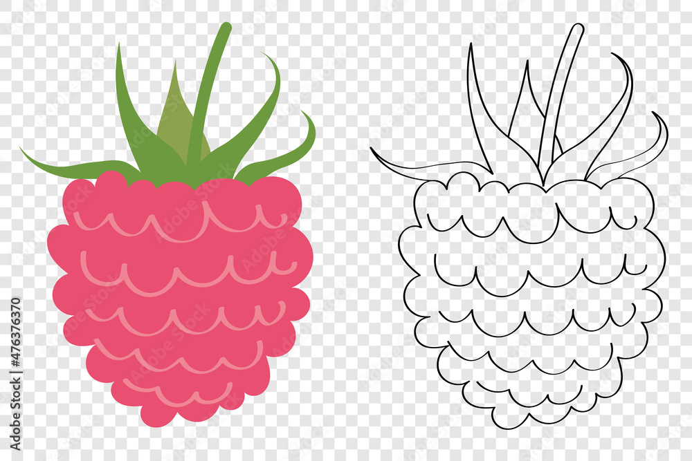 Raspberry - sweet red berries, flat cartoon childrens coloring pages on a transparent background. Icon and emblem for web design of packaging for vegetarian food. Raspberry - sweet red berries, flat cartoon childrens coloring pages on a transparent background. Icon and emblem for web design of packaging for vegetarian food.