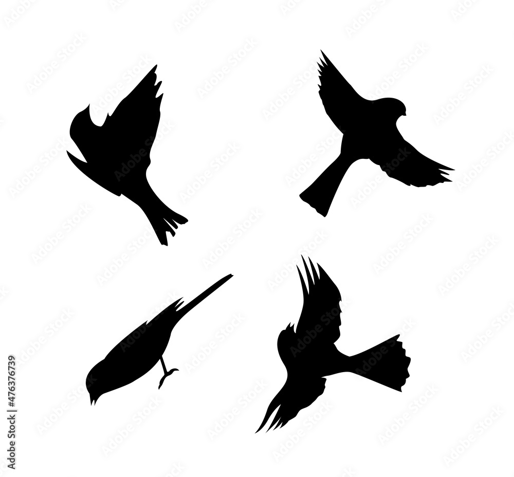 Fototapeta premium Sparrow Silhouettes Isolated on White
