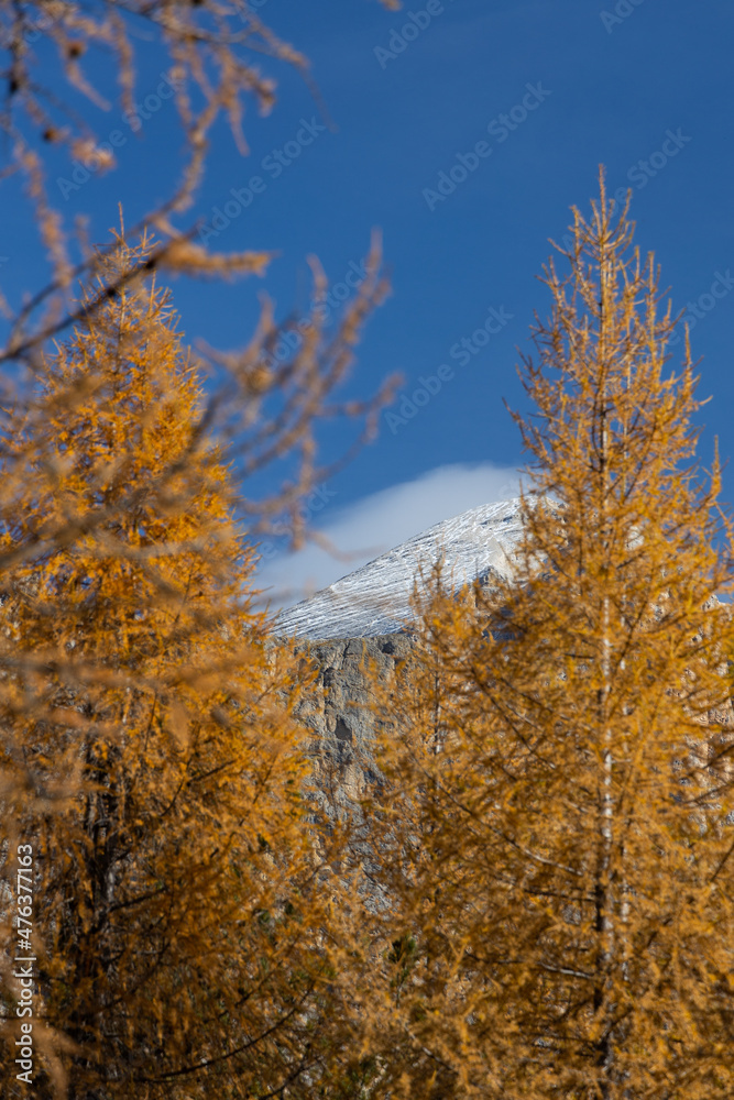dolomites in fall dolomites in fall