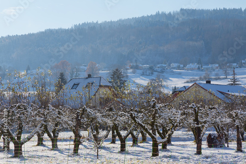 Reinach im Winter, Kanton Aargau, Schweiz photo