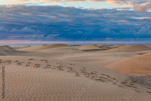 sand dunes in the morning