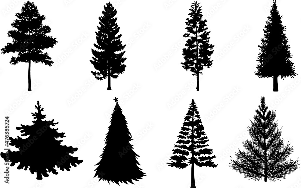Pine Tree Silhouettes Pine Tree SVG EPS PNG