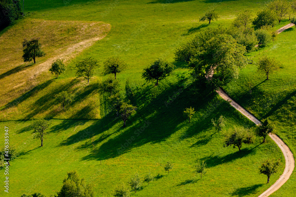 Obraz premium view of a landscape