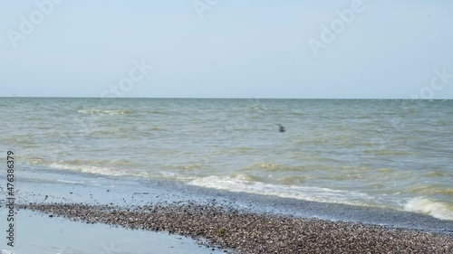 Selective focus on the waves of the sea washing the wild, deserted sandy beach. Summer sunny day on the seashore. High quality 4k footage photo