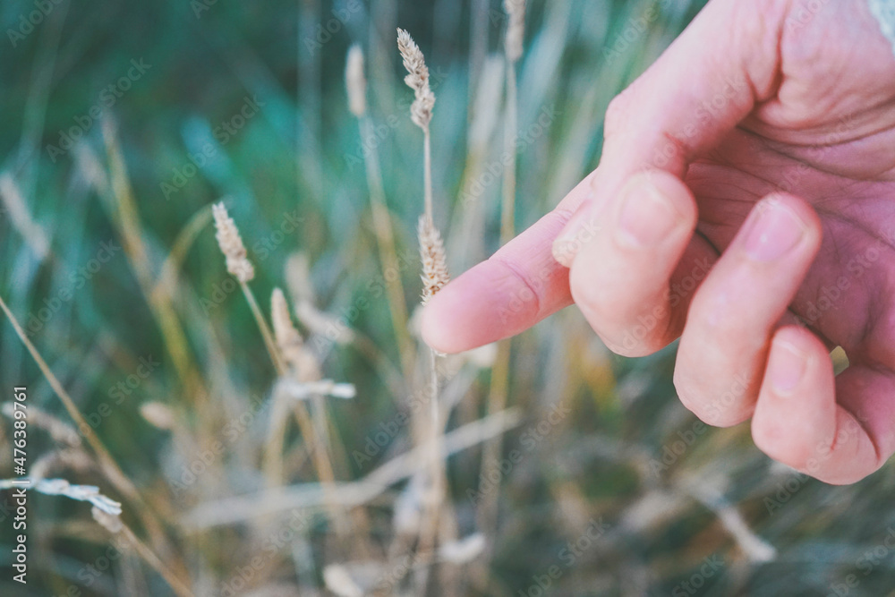 Man's hand touching a fragile spike Man's hand touching a fragile spike