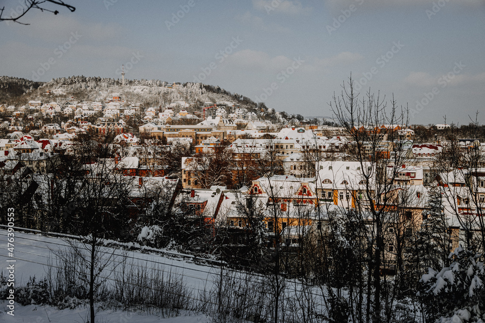 Thüringen- Jena im Winter 