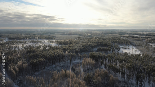 Aerial view of a mystical landscape in winter with trees and fields covered in snow