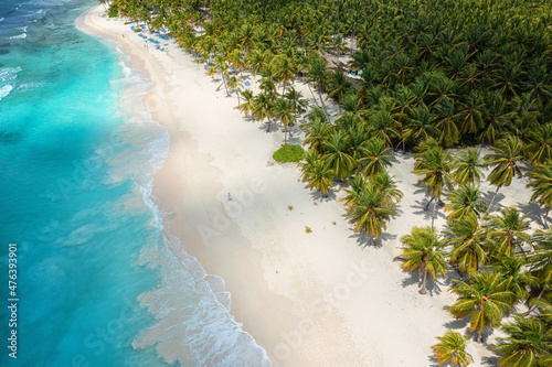 Amazing aerial view of tropical paradise beach with white sand, coconut palms and sea, outdoor travel background, summer holiday concept, natural wallpaper. Caribbean, Saona island, Dominican Republic