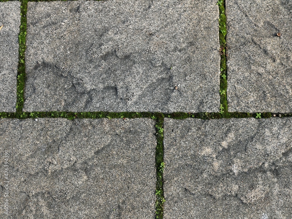 Obraz premium a fragment of a path paved with a granite massif in a garden or park with seams overgrown with small weeds and moss, a detail of a park or city exterior in the form of a stone paved surface