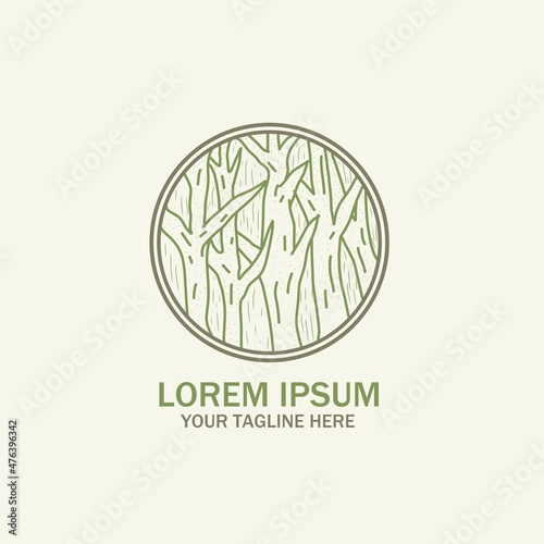 Evergreen wood logo, Pine, Fir, Cedar tree logo Design, Vintage Wood Log Vector Logo.