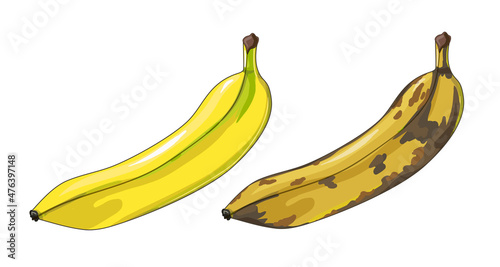 A set of two bananas. Ripe and spoiled bananas. Tropical fruits in cartoon style. Stock vector illustration isolated on a white background.