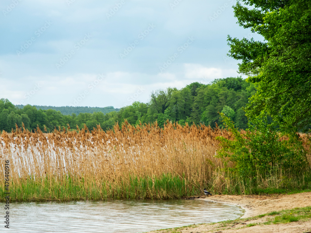 Obraz premium Lakeside in Brandenburg