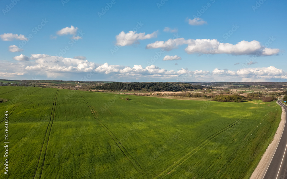 Aerial view. Green field of young corn in clear weather. There are rare clouds in the blue sky. On the horizon is a forest and a lake.