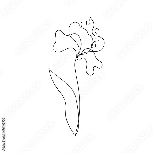 Continuous line drawing of an abstract iris flower. Floral sketch. abstract plant drawn by one line. Minimalism. Vector illustration.