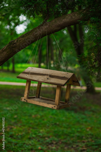 bird feeder object hanging on tree branch spring time background scenic © Артём Князь
