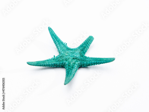 starfish on a white background. Starfish isolated on white background.