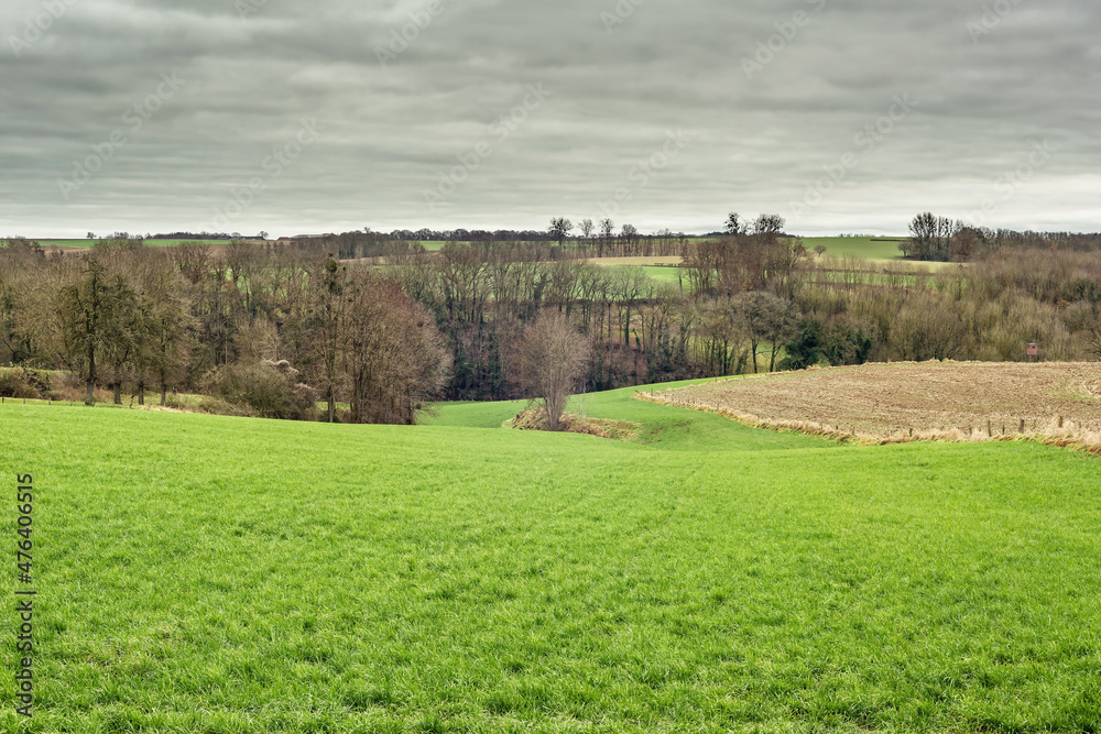 Hilly landscape with meadows agricultural fields and bare trees under a grey cloudy sky.