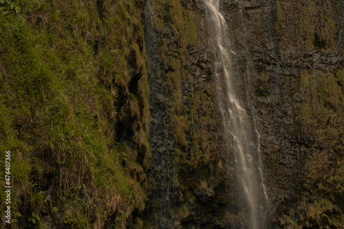 Panoramic scene from waterfallls at bamboo forest in road to hana  Maui  Hawai