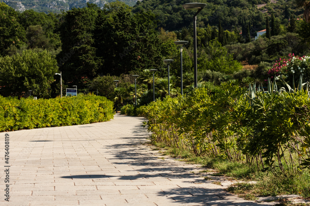 Obraz premium path in the park near island Sveti-Stefan, Budva in Montenegro, Europe, Adriatic Sea and mountains