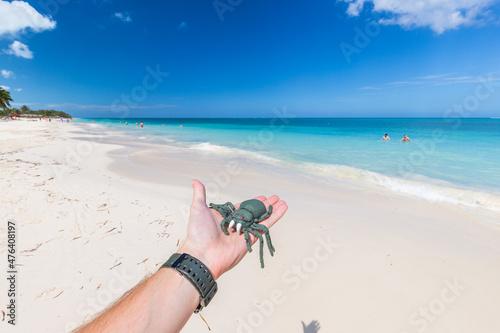 Photography secluded white sand beach in the tropical Cayo Levisa Island in Cuba