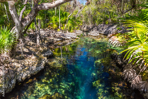 Canvas Print Forest with a cenote at Giron on Cuba