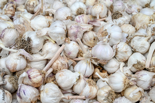 Fresh garlic for sale at vegetable market, close up. Boxes full of raw garlic in shop. Organic garlic at the greengrocer's stall. Vegetable.