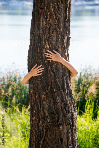 An environmentalist woman is embracing a poplar tree to demonstrate is love for nature and environment.