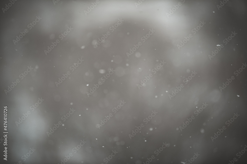 snow snow