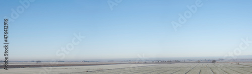 Fototapeta Naklejka Na Ścianę i Meble -  Flat winter landscape in the agricultural province of Friesland (Netherlands) with hoarfrost on the farmlands and farms on the horizon. Clear blue sky. Widescreen image