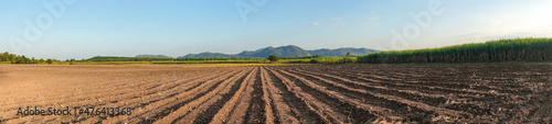 Panorama landscape farming with mountain view in Thailand countryside