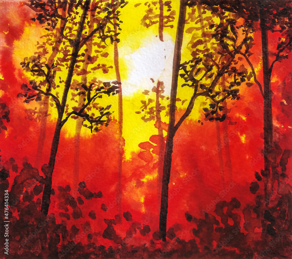 Amateur watercolor drawing of an evening sunset in an autumn forest