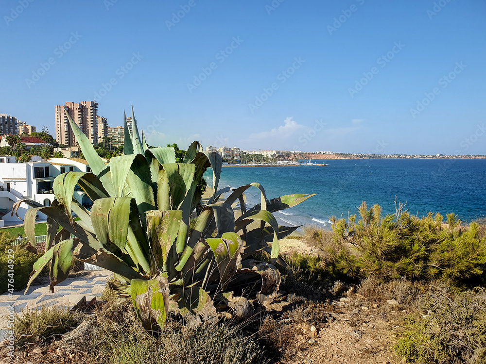 Vega Baja del Segura - Orihuela Costa - Paisajes de su costa Vega Baja del Segura - Orihuela Costa - Paisajes de su costa
