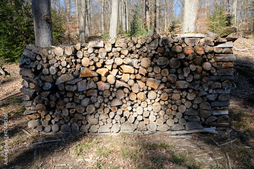 FU 2021-02-21 BMeKneipp 74 Im Wald ist ein Haufen gestapelter Holzscheite