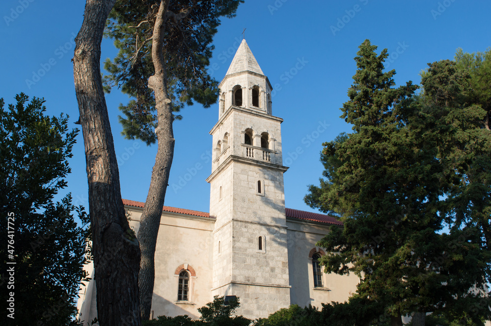 Parish church of St Anastasia in small town Biograd na Moru in Croatia, surrounded with pine trees