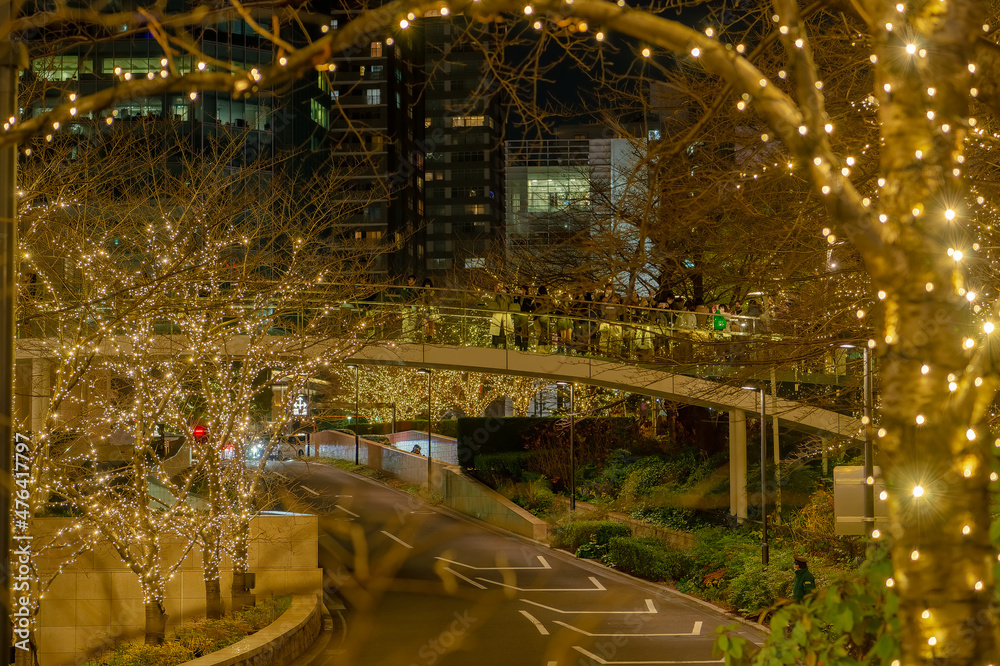 東京都港区六本木のクリスマスイルミネーションの景色